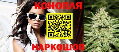 гидра Рязань
