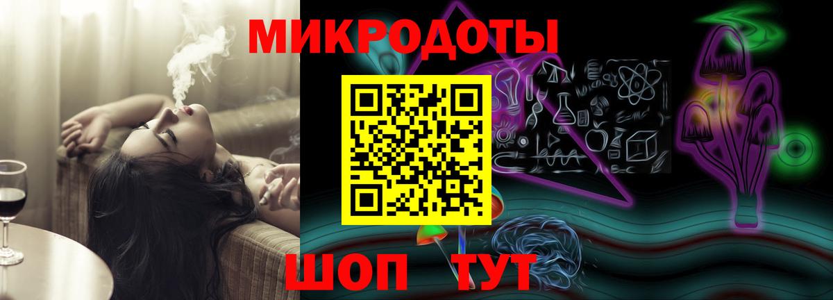 Псилоцибиновые грибы Psilocybine cubensis Полысаево