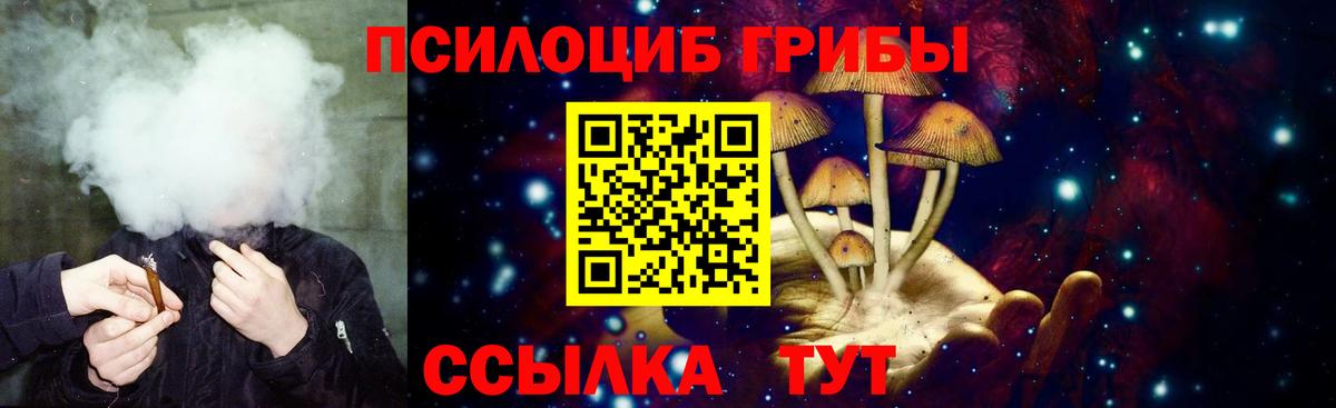 Галлюциногенные грибы Magic Shrooms  где купить наркотик  Полысаево  Вход с VPN  Галлюциногенные грибы ЛСД 